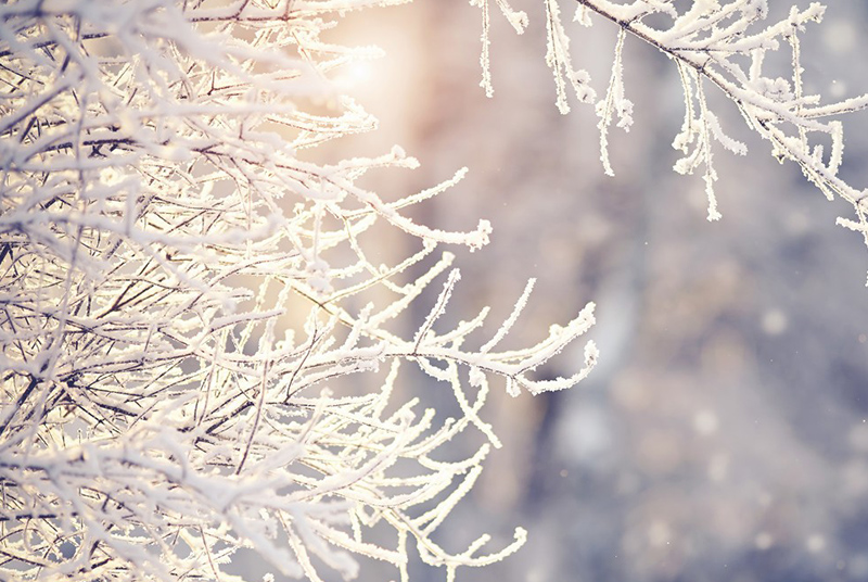 氟碳漆冬天能施工嗎?冬季鋼結(jié)構(gòu)涂裝氟碳漆要注意什么?